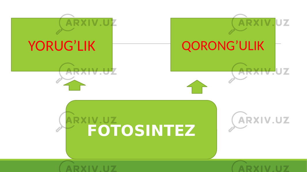 FOTOSINTEZ QORONG’ULIK YORUG’LIK 