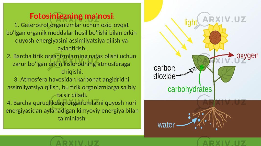Fotosintezning ma&#39;nosi : 1. Geterotrof organizmlar uchun oziq-ovqat bo&#39;lgan organik moddalar hosil bo&#39;lishi bilan erkin quyosh energiyasini assimilyatsiya qilish va aylantirish. 2. Barcha tirik organizmlarning nafas olishi uchun zarur bo&#39;lgan erkin kislorodning atmosferaga chiqishi. 3. Atmosfera havosidan karbonat angidridni assimilyatsiya qilish, bu tirik organizmlarga salbiy ta&#39;sir qiladi. 4. Barcha quruqlikdagi organizmlarni quyosh nuri energiyasidan aylanadigan kimyoviy energiya bilan ta&#39;minlash . 