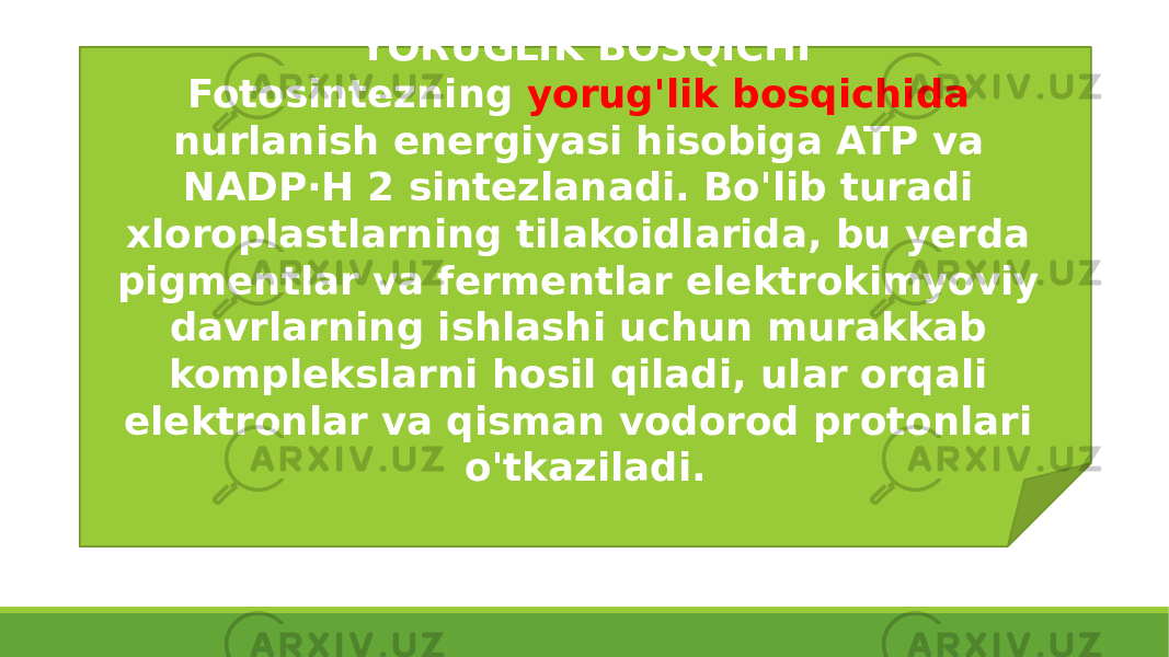 YORUGLIK BOSQICHI Fotosintezning yorug&#39;lik bosqichida nurlanish energiyasi hisobiga ATP va NADP·H 2 sintezlanadi. Bo&#39;lib turadi xloroplastlarning tilakoidlarida, bu yerda pigmentlar va fermentlar elektrokimyoviy davrlarning ishlashi uchun murakkab komplekslarni hosil qiladi, ular orqali elektronlar va qisman vodorod protonlari o&#39;tkaziladi. 