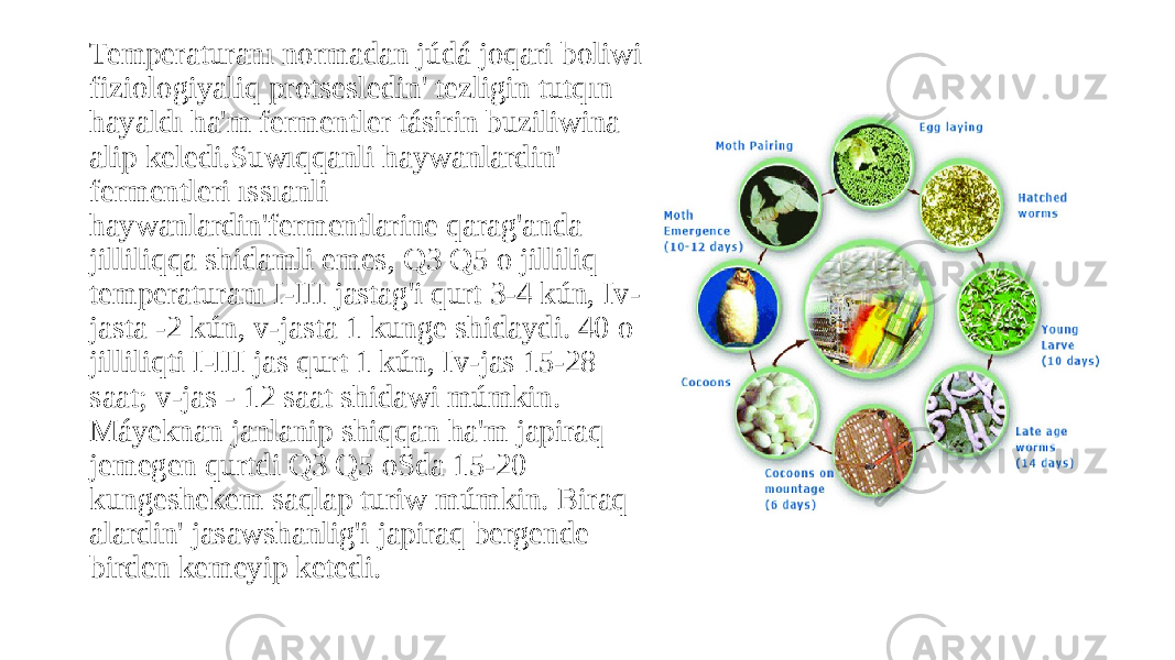 Temperaturanı normadan júdá joqari boliwi fiziologiyaliq protsesledin&#39; tezligin tutqın hayaldı ha&#39;m fermentler tásirin buziliwina alip keledi.Suwıqqanli haywanlardin&#39; fermentleri ıssıanli haywanlardin&#39;fermentlarine qarag&#39;anda jilliliqqa shidamli emes, Q3 Q5 o jilliliq temperaturanı I-III jastag&#39;i qurt 3-4 kún, Iv- jasta -2 kún, v-jasta 1 kunge shidaydi. 40 o jilliliqti I-III jas qurt 1 kún, Iv-jas 15-28 saat; v-jas - 12 saat shidawi múmkin. Máyeknan janlanip shiqqan ha&#39;m japiraq jemegen qurtdi Q3 Q5 oSda 15-20 kungeshekem saqlap turiw múmkin. Biraq alardin&#39; jasawshanlig&#39;i japiraq bergende birden kemeyip ketedi. 