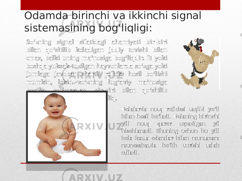 Odamda birinchi va ikkinchi signal sistemasining bog‘liqligi: So‘zning signal sifatidagi ahamiyati bir-biri bilan qo‘shilib keladigan jddiy tovishi bilan emas, balki uning ma’nosiga bog‘liqdir. It yoki boshqa yuksak tuzilgan hayvonlarda so‘zga yoki jumlaga javoban shartli refleks hosil bo‘lishi mumkin, lekin so‘zning lug‘aviy ma’nosiga bog‘liq bo‘lmasdan, bir-biri bilan qo‘shilib keladigan tovushlarga bog ‘liq. Bolalarda nutq refleksi taqlid yo‘li bilan hosil bo‘ladi. Bolaning birinchi yili nutq qaror topadigan yil hisoblanadi. Shuning uchun bu yili bola katta odamlar bilan muntazam munosabatda bo‘lib turishi talab etiladi. 