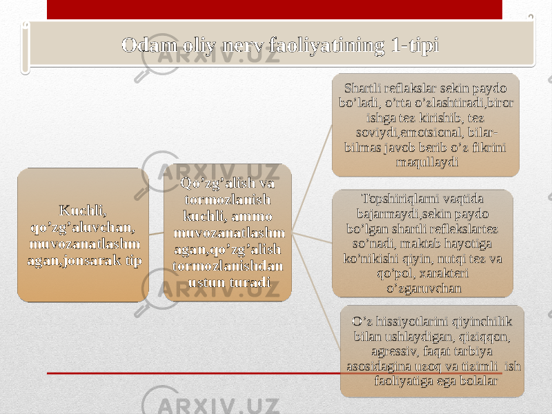 Kuchli, qo’zg’aluvchan, muvozanatlashm agan,jonsarak tip Qo’zg’alish va tormozlanish kuchli, ammo muvozanatlashm agan,qo’zg’alish tormozlanishdan ustun turadi Shartli reflakslar sekin paydo bo’ladi, o’rta o’zlashtiradi,biror ishga tez kirishib, tez soviydi,emotsional, bilar- bilmas javob berib o’z fikrini maqullaydi Topshiriqlarni vaqtida bajarmaydi,sekin paydo bo’lgan shartli reflekslartez so’nadi, maktab hayotiga ko’nikishi qiyin, nutqi tez va qo’pol, xarakteri o’zgaruvchan O’z hissiyotlarini qiyinchilik bilan ushlaydigan, qiziqqon, agressiv, faqat tarbiya asosidagina uzoq va tizimli ish faoliyatiga ega bolalar Odam oliy nerv faoliyatining 1-tipi 2D 1A 1C 04 3D 0F 15 1C 04 0F 10 2A 17021D0B0918 07 03 17070B 0609 25 17091E09 17021D0B0F09 03021D0E09 13021D0E071307 16021D10020B20 021D140F09 05 261D1405 1707 09 09030203 1C0902 05 