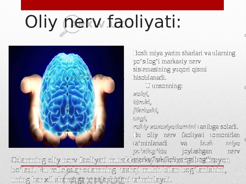 Oliy nerv faoliyati: Bosh miya yarim sharlari va ularning po‘stlog‘i markaziy nerv sistemasining yuqori qismi hisoblanadi. U unsonning: xulqi, idroki, fikrlashi, оngi, ruhiy xususiyatlarnini tartibga soladi. Bu oliy nerv faoliyati tomonidan ta’minlanadi va bosh miya po‘stlog‘ida joylashgan nerv markazlari faoliyatiga bog‘liq. Оdamning oliy nerv faoliyati murakkab reflekslar orqali namoyon bo‘ladi. Bu reflekslar odamning tashqi muhit bilan bog‘lanishini, uning har xil sharoitga moslashishni ta’minlaydi. 