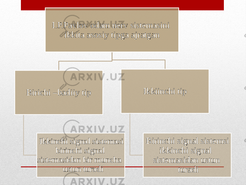 I.P.Pavlov odam nerv sistemasini ikkita asosiy tipga ajratgan Birichi –badiiy tip Ikkinchi signal sistemasi birinchi signal sistemasidan bir muncha ustun turadi Ikkiinchi tip Birinchi signal sistemsi ikkinchi signal sistemasidan ustun turadi 