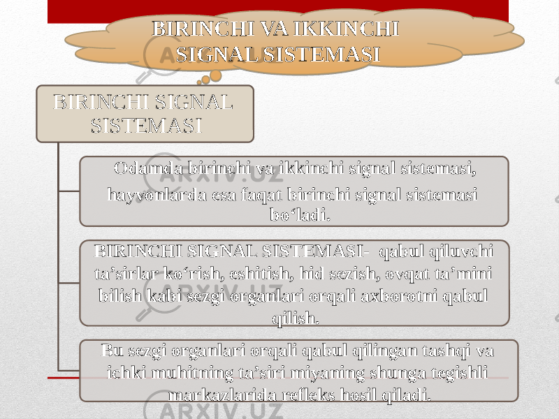 BIRINCHI VA IKKINCHI SIGNAL SISTEMASI BIRINCHI SIGNAL SISTEMASI Odamda birinchi va ikkinchi signal sistemasi, hayvonlarda esa faqat birinchi signal sistemasi bo‘ladi. BIRINCHI SIGNAL SISTEMASI- qabul qiluvchi ta’sirlar ko‘rish, eshitish, hid sezish, ovqat ta’mini bilish kabi sezgi organlari orqali axborotni qabul qilish. Bu sezgi organlari orqali qabul qilingan tashqi va ichki muhitning ta’siri miyaning shunga tegishli markazlarida refleks hosil qiladi. 26 1627 