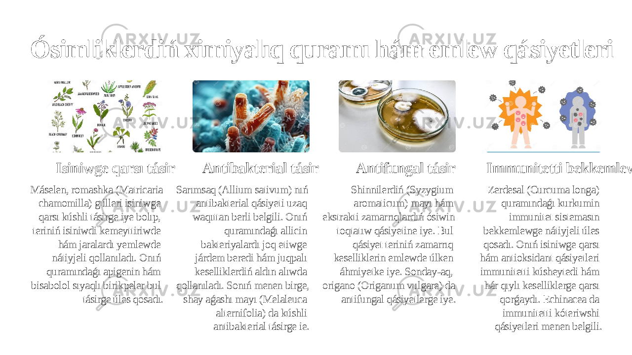 Ósimliklerdiń ximiyalıq quramı hám emlew qásiyetleri Isiniwge qarsı tásir Máselen, romashka (Matricaria chamomilla) gúlleri isiniwge qarsı kúshli tásirge iye bolıp, teriniń isiniwdi kemeyttiriwde hám jaralardı yemlewde nátiyjeli qollanıladı. Onıń quramındaǵı apigenin hám bisabolol sıyaqlı birikpeler bul tásirge úles qosadı. Antibakterial tásir Sarımsaq (Allium sativum) nıń antibakterial qásiyeti uzaq waqıttan berli belgili. Onıń quramındaǵı allicin bakteriyalardı joq etiwge járdem beredi hám juqpalı keselliklerdiń aldın alıwda qollanıladı. Sonıń menen birge, shay aǵashı mayı (Melaleuca alternifolia) da kúshli antibakterial tásirge ie. Antifungal tásir Shinnilerdiń (Syzygium aromaticum) mayı hám ekstrakti zamarrıqlardıń ósiwin toqtatıw qásiyetine iye. Bul qásiyet teriniń zamarrıq keselliklerin emlewde úlken áhmiyetke iye. Sonday-aq, origano (Origanum vulgare) da antifungal qásiyetlerge iye. Immunitetti bekkemlew Zerdesal (Curcuma longa) quramındaǵı kurkumin immunitet sistemasın bekkemlewge nátiyjeli úles qosadı. Onıń isiniwge qarsı hám antioksidant qásiyetleri immunitetti kúsheytedi hám hár qıylı keselliklerge qarsı qorǵaydı. Echinacea da immunitetti kóteriwshi qásiyetleri menen belgili. 