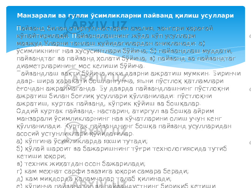 Манзарали ва гулли ўсимликларни пайванд қилиш усуллари Пайванд билан атиргул,настарин азалия, зангори қарағай кўпайтирилади. Пайвандлашнинг жўда кўп усуллари мавжуд.Уларни танлаш қуйидагилардан аниқланади: а) ўсимликнинг нав хусусиятлари бўйича; б) пайвандлаш муддати, пайвандтаг ва пайванд ҳолати бўйича; в) пайванд ва пайвандтаг диаметрларининг мос келиши бўйича. Пайвандлаш вақти бўйича икки даврни ажратиш мумкин. Биринчи давр- шира ҳаракати бошлангунча, яъни пўстлоқ қатламлари ёғочдан ажралмаганда. Бу даврда пайвандлашнинг пўстлоқни ажратиш билан боғлиқ усуллари қўлланилади: пўстлоқни ажратиш, куртак пайванд, кўприк қўйиш ва бошқалар. Оддий куртак пайванд- настарин, атиргул ва бошқа айрим манзарали ўсимликларнинг нав кўчатларини олиш учун кенг қўлланилади. Куртак пайванднинг бошқа пайванд усулларидан асосий устунликлари қўйидагилар. а) кўпгина ўсимликларда яхши тутади; б) қўлай шароит ва бажаришнинг тўғри технологиясида тутиб кетиши юқори; в) техник жиҳатдан осон бажарилади; г) кам меҳнат сарфи эвазига юқори самара беради; д) кам миқдорда қаламчалар талаб қилинади; е) кўпинча пайвандтаг ва пайвандустнинг бирикиб кетиши мукаммалдир. ё) пайвандтагдаги кесилган жой сезиларли бўлмай, тезда битади. 