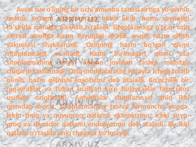 Avval suv о&#39;lining bir uchi amyoba tanasi sirtiga yo-pishib qoladi, so&#39;ngra sitoplazmaga botib kirib, hazm suyuqligi ta&#39;sirida spiralga o&#39;xshab o&#39;raladi. Sitoplazmaga о&#39;tgan oziq zarrasi atrofiga hazm suyuqligi ajralib, ovqat hazm qilish vakuolasi shakllanadi. Oziqning hazm bo&#39;lgan qismi sitoplazmaga so&#39;riladi; hazm bo&#39;lmagan qismi esa sitoplazmaning to&#39;g&#39;ri kelgan joyidan tashqi muhitga chiqarib tashlanadi. Oziq moddalarning hujayra ichiga tortib olinib, hazm qilinishi fagotsitoz deb ataladi. Ko&#39;pchilik bir hujayralilar va tuban tuzilgan ko&#39;p hujayralilar fagotsitoz usulida oziqlanadi. Amyobalar sitoplazmasi aniq ikki qismdan iborat. Sitoplazmaning tashqi birmuncha yupqa, lekin tiniq va quyuqroq qatlami ektoplazma, ichki suyu- qroq va donador qatlami endoplazma deb ataladi. Bu ikki qatlam o&#39;rtasida aniq chegara bo&#39;lmaydi. 