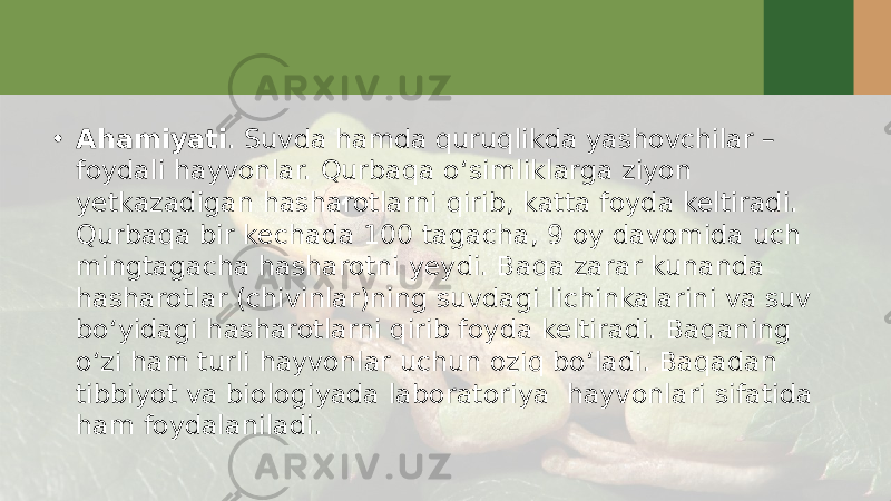 • Ahamiyati . Suvda hamda quruqlikda yashovchilar – foydali hayvonlar. Qurbaqa o‘simliklarga ziyon yetkazadigan hasharotlarni qirib, katta foyda keltiradi. Qurbaqa bir kechada 100 tagacha, 9 oy davomida uch mingtagacha hasharotni yeydi. Baqa zarar kunanda hasharotlar (chivinlar)ning suvdagi lichinkalarini va suv bo‘yidagi hasharotlarni qirib foyda keltiradi. Baqaning o‘zi ham turli hayvonlar uchun oziq bo‘ladi. Baqadan tibbiyot va biologiyada laboratoriya hayvonlari sifatida ham foydalaniladi. 