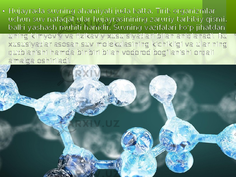 • Hujayrada suvning ahamiyati juda katta. Tirik organizmlar uchun suv nafaqat ular hujayrasinining zaruriy tarkibiy qismi, balki yashash muhiti hamdir. Suvning vazifalari ko‘p jihatdan uning kimyoviy va fizikaviy xusu siyatlari bilan aniqlanadi. Bu xususiyatlar asosan suv molekulasining kichikligi va ular ning qutblanishi hamda bir-biri bilan vodorod bog‘lanishi orqali amalga oshiriladi. 