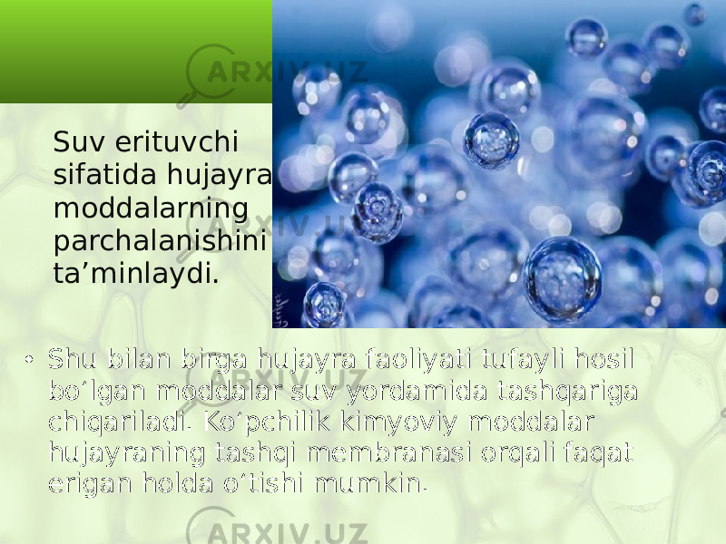 Suv erituvchi sifatida hujayra moddalarning parchalanishini ta’minlaydi. • Shu bilan birga hujayra faoliyati tufayli hosil bo‘lgan moddalar suv yordamida tashqariga chiqariladi. Ko‘pchilik kimyoviy moddalar hujayraning tashqi membranasi orqali faqat erigan holda o‘tishi mumkin. 