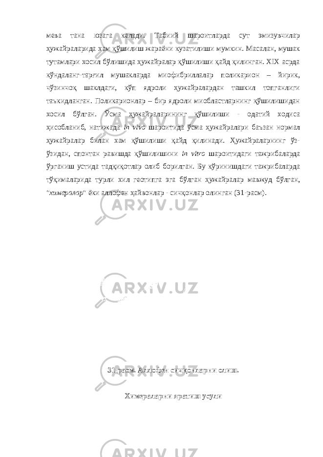 мева тана юзага келади. Табиий шароитларда сут эмизувчилар ҳужайраларида хам қўшилиш жараёни кузатилиши мумкин. Масалан, мушак тутамлари хосил бўлишида ҳужайралар қўшилиши қайд қилинган. XIX асрда кўндаланг-тарғил мушакларда миофибриллалар поликарион – йирик, чўзинчоқ шаклдаги, кўп ядроли ҳужайралардан ташкил топганлиги таъкидланган. Поликарионлар – бир ядроли миобластларнинг қўшилишидан хосил бўлган. Ўсма ҳужайраларининг қўшилиши - одатий ходиса ҳисобланиб, натижада in vivo шароитида ўсма ҳужайралари баъзан нормал ҳужайралар билан хам қўшилиши қайд қилинади. Ҳужайраларнинг ўз- ўзидан, спонтан равишда қўшилишини in vitro шароитидаги тажрибаларда ўрганиш устида тадқиқотлар олиб борилган. Бу кўринишдаги тажрибаларда тўқималарида турли хил геотипга эга бўлган ҳужайралар мавжуд бўлган, &#34; химералар &#34; ёки аллофен ҳайвонлар - сичқонлар олинган (31-расм). 3 1-расм. А ллофен сичқонларни олиш . Химераларни яратиш усули 