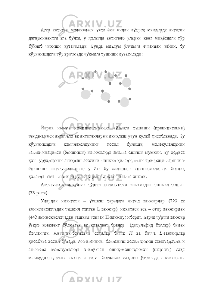 Агар антиген молекуласи учта ёки ундан кўпроқ миқдорда антиген детерминантга эга бўлса, у ҳолатда антитело уларни кенг миқёсдаги тўр бўйлаб тикиши кузатилади. Бунда маълум ўлчамга етгандан кейин, бу кўринишдаги тўр эритмада чўкмага тушиши кузатилади: Йирик иммун комплексларнинг чўкмага тушиши (преципитация) тенденцияси антитело ва антигенларни аниқлаш учун қулай ҳисобланади. Бу кўринишдаги комплексларнинг хосил бўлиши, молекулаларнин гаглютинацияси (ёпишиши) натижасида амалга ошиши мумкин. Бу ҳодиса қон гуруҳларини аниқлаш асосини ташкил қилади, яъни эритроцитларннинг ёпишиши антителоларнинг у ёки бу холатдаги спецификлигига боғлиқ ҳолатда гемагглютинация реакцияси орқали амалга ошади. Антитело молекуласи тўртта полипептид занжирдан ташкил топган (33 -расм ). Улардан иккитаси – ўхшаш тарздаги енгил занжирлар (220 та аминокислот адан ташкил топган L- занжир ), иккитаси эса – оғир занжирдан (440 аминокислот адан ташкил топган H- занжир ) иборат . Барча тўртта занжир ўзаро ковалент бўлмаган ва ковалент боғлар (дисульфид боғлар ) билан боғланган. Антиген- боғловчи соҳалар битта Н ва битта L - занжирлар ҳисобига хосил бўлади. Антигеннинг боғланиш хосил қилиш самарадорлиги антитело молекуласида эгилувчан ошиқ-мошиқсимон (шарнир) соҳа мавжудлиги, яъни иккита антиген боғловчи соҳалар ўртасидаги масофани 