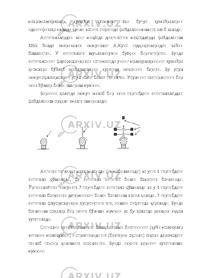 макромолекулалар, ҳужайра қисмлари ёки бутун ҳужайраларни идентификациялашда кучли восита сифатида фойдаланилишига олиб келади. Антителолардан кенг миқёсда диагностик мақсадларда фойдаланиш 1955 йилда америкалик иммунолог А.Кунс тадқиқотларидан кейин бошланган. У антителога шуълаланувчи буёқни бириктирган. Бунда антителонинг флуоресценцияси натижасида унинг молекулалрининг ҳужайра қисмлари бўйлаб жойлашишини кузатиш имконини берган. Бу усул иммунофлюоресцент усул номи билан танилган. Усулнинг сезгирлигини бир неча йўллар билан ошириш мумкин. Биринчи ҳолатда иммун жавоб бир неча тартибдаги антителолардан фойдаланиш орқали амалга оширилади: Антиген тагликка махкамланади (иммобилланади) ва унга 1-тартибдаги антитело қўшилади, бу антитело антиген билан бевосита боғланади. Ўрганилаётган намунага 2-тартибдаги антитело қўшилади ва у 1-тартибдаги антитело боғланган детерминант билан боғланиш хосил қилади. 2-тартибдаги антитело флуоресценция хусусиятига эга, нишон сифатида қаралади. Бунда боғланиш соҳалар бир нечта бўлиши мумкин ва бу ҳолатда реакция яққол кузатилади. Сигнални кучайтиришнинг бошқа тизими биотиннинг (қуйи молекуляр витамин молекуласи) r -стрептавидинга (бактерия оқсили) юқори даражадаги танлаб таъсир қилишига асосланган. Бунда иккита вариант кузатилиши мумкин: 