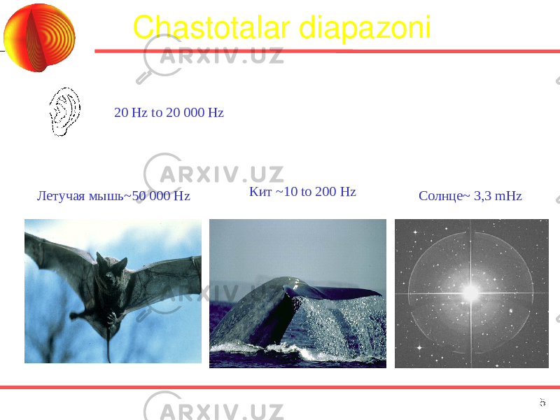 Chastotalar diapazoni 20 Hz to 20 000 Hz Летучая мышь~50 000 Hz Кит ~10 to 200 Hz Cолнце~ 3,3 mHz 5 