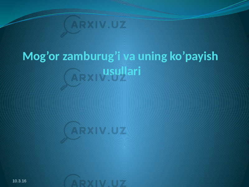 Mog’or zamburug’i va uning ko’payish usullari 10.3.16 