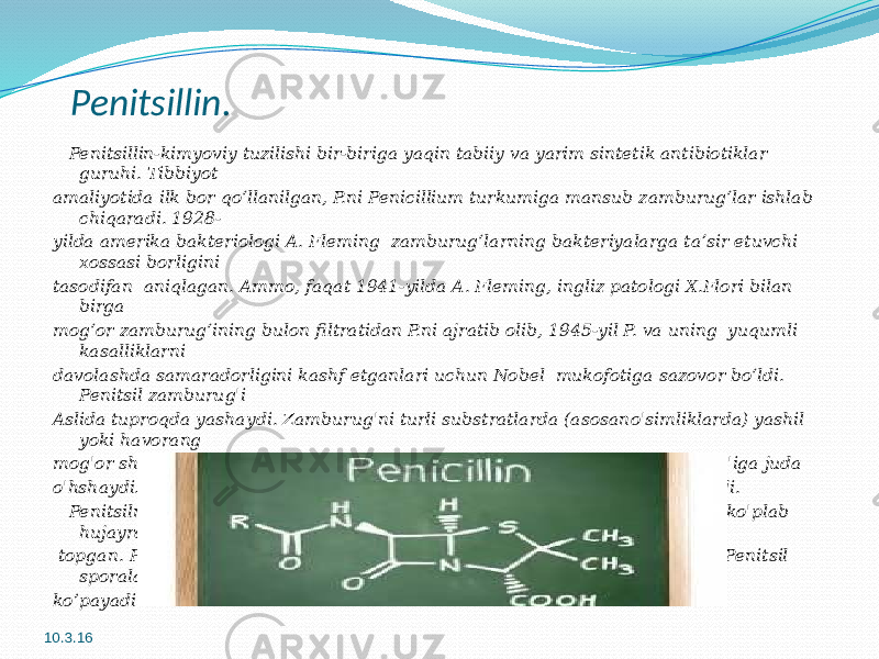  Penitsillin. Penitsillin-kimyoviy tuzilishi bir-biriga yaqin tabiiy va yarim sintetik antibiotiklar guruhi. Tibbiyot amaliyotida ilk bor qoʻllanilgan, P.ni Penicillium turkumiga mansub zamburugʻlar ishlab chiqaradi. 1928- yilda amerika bakteriologi A. Fleming zamburugʻlarning bakteriyalarga taʼsir etuvchi xossasi borligini tasodifan aniqlagan. Ammo, faqat 1941-yilda A. Fleming, ingliz patologi X.Flori bilan birga mogʻor zamburugʻining bulon filtratidan P.ni ajratib olib, 1945-yil P. va uning yuqumli kasalliklarni davolashda samaradorligini kashf etganlari uchun Nobel mukofotiga sazovor boʻldi. Penitsil zamburug&#39;i Aslida tuproqda yashaydi. Zamburug&#39;ni turli substratlarda (asosano&#39;simliklarda) yashil yoki havorang mog&#39;or shaklida uchratish mumkin. Penitsil zamburug&#39;i aspergilum zamburug&#39;iga juda o&#39;hshaydi. Aspergilus zamburug&#39;I ham mog&#39;or zamburug &#39;lari turkumiga kiradi. Penitsilning vegetativ mitseliylari shohlangan bo&#39;ladi. Mitseliylar shaffof va ko&#39;plab hujayralardan tashkil topgan. Penitsil giflari yoki substratning ichida, yoki tashqi yuzasida bo&#39;ladi. Penitsil sporalar yordamida ko’payadi. 10.3.16 