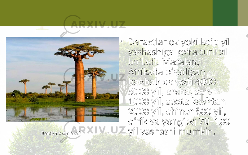• Daraxtlar oz yoki ko‘p yil yashashiga ko‘ra turli xil bo‘ladi. Masalan, Afrikada o‘sadigan baobab daraxti 4000– 5000 yil , archa, sarv 1000 yil, soxta kashtan 2000 yil, chinor 800 yil, o‘rik va yong‘oq 70–100 yil yashashi mumkin. Baobab daraxti 