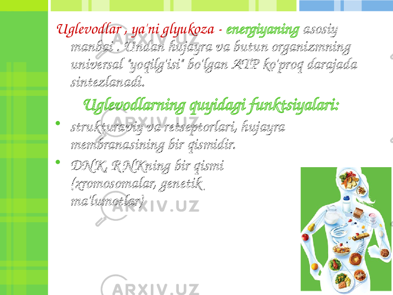 Uglevodlar , ya&#39;ni glyukoza - energiyaning asosiy manbai . Undan hujayra va butun organizmning universal &#34;yoqilg&#39;isi&#34; bo&#39;lgan ATP ko&#39;proq darajada sintezlanadi. Uglevodlarning quyidagi funktsiyalari: • strukturaviy va retseptorlari, hujayra membranasining bir qismidir. • DNK, R NKning bir qismi (xromosomalar, genetik ma&#39;lumotlar) 