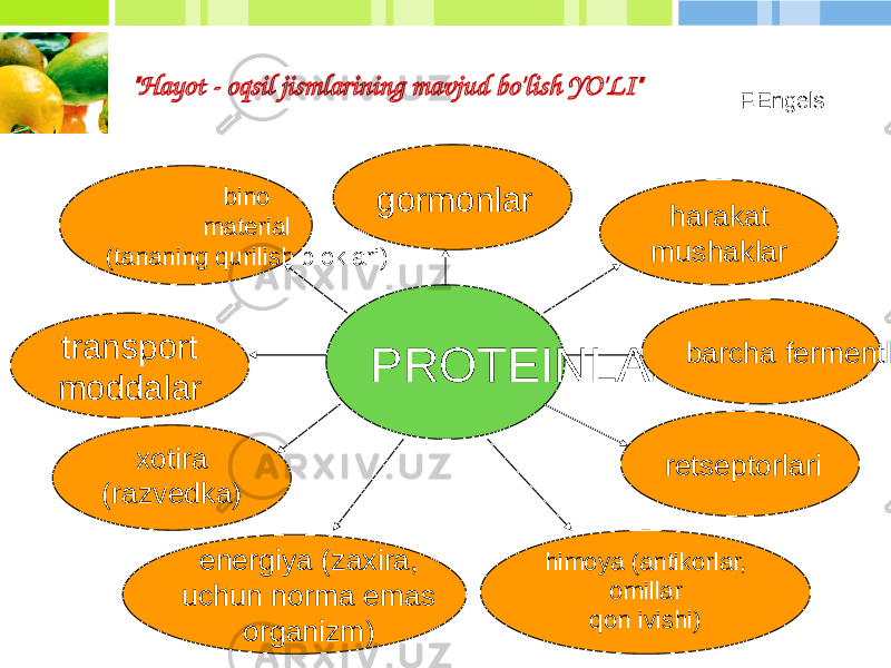 &#34;Hayot - oqsil jismlarining mavjud bo&#39;lish YO&#39;LI&#34; F.Engels PROTEINLARbino material (tananing qurilish bloklari) retseptorlari energiya (zaxira, uchun norma emas organizm) harakat mushaklar xotira (razvedka) gormonlar transport moddalar barcha fermentlar himoya (antikorlar, omillar qon ivishi) 