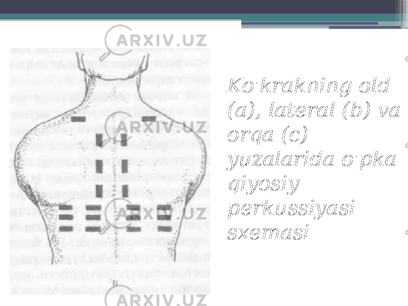 Ko&#39;krakning old (a), lateral (b) va orqa (c) yuzalarida o&#39;pka qiyosiy perkussiyasi sxemasi 