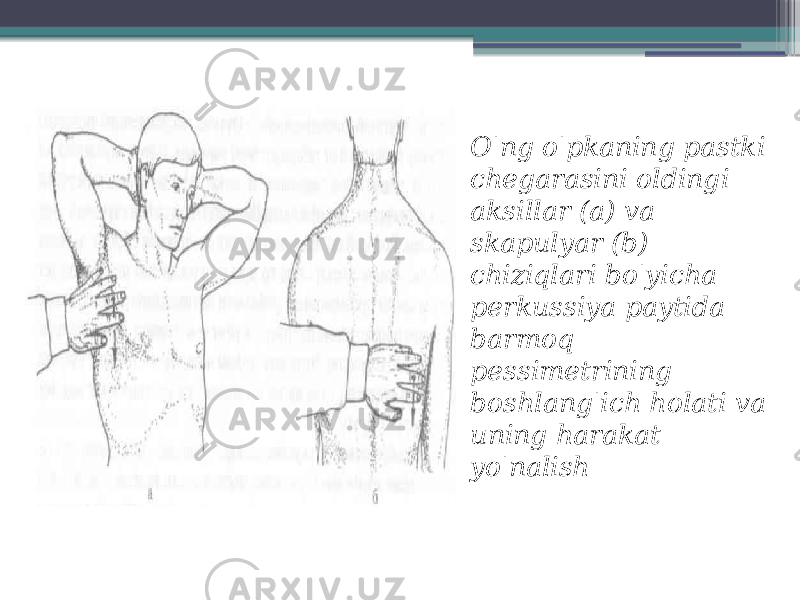 O&#39;ng o&#39;pkaning pastki chegarasini oldingi aksillar (a) va skapulyar (b) chiziqlari bo&#39;yicha perkussiya paytida barmoq pessimetrining boshlang&#39;ich holati va uning harakat yo&#39;nalish 