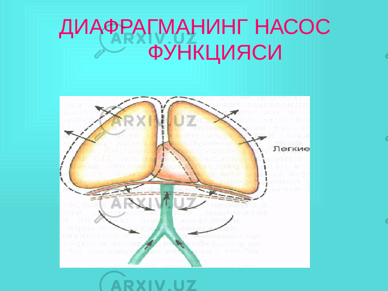  ДИАФРАГМАНИНГ НАСОС ФУНКЦИЯСИ 