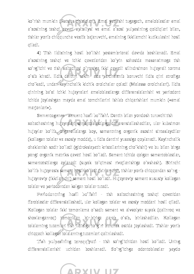 ko`rish mumkin (Retsius chiziqlari). Emal yetilishi tugagach, ameloblastlar emal a`zosining tashqi qavati epiteliysi va emal a`zosi pulpasining qoldiqlari bilan, tishlar yorib chiqquncha vazifa bajaruvchi, emalning ikkilamchi kutikulasini hosil qiladi. 4) Tish ildizining hosil bo`lishi postembrional davrda boshlanadi. Emal a`zosining tashqi va ichki qavatlaridan bo`yin sohasida mezen х imaga tish so`rg`ichi va tish х altachasi o`rtasiga ikki qavatli silindrsimon hujayrali tortma o`sib kiradi. Ildiz dentini sekin- asta parchalanib boruvchi ildiz qini atrofiga cho`kadi, undan keyinchalik kichik orolchalar qoladi (Malasse orolchalari). Ildiz qinining ba`zi ichki hujayralari ameloblastlarga differensialanishi va periodont ichida joylashgan mayda emal tomchilarini ishlab chiqarishlari mumkin («emal marjonlari»). Sementogenez - sement hosil bo`lishi . Dentin bilan yondosh turuvchi tish х altachasining hujayralari sementoblastlarga differensiallashadilar, ular kubsimon hujaylar bo`lib, organellalarga boy, sementning organik asosini sintezlaydilar (kollagen tolalar va asosiy modda), u ildiz dentini yuzasiga qoplanadi. Keyinchalik ohaklanish sodir bo`ladi (gidroksiapatit kristallarining cho`kishi) va bu bilan birga yangi organik matriks qavati hosil bo`ladi. Sement ichida qolgan sementoblastlar, sementotsitlarga aylanadi (suyak to`qimasi rivojlanishiga o` х shash). Birinchi bo`lib hujayrasiz sement hosil bo`ladi (birlamchi), tishlar yorib chiqqandan so`ng - hujayraviy (ikkilamchi) sement hosil bo`ladi. Hujayraviy sement х ususiy kollagen tolalar va periodontdan kelgan tolalar tutadi. Periodontning hosil bo`lishi - tish х altachasining tashqi qavatidan fibroblastlar differensiallashadi, ular kollagen tolalar va asosiy moddani hosil qiladi. Kollagen tolalar ikki tomonlama o`sadi: sement va alveolyar suyak (qalinroq va sho х langanroq) tomonidan bir-biriga qarab o`sib, birlashadilar. Kollagen tolalarning tutamlari tish ildiziga to`g`ri burchak ostida joylashadi. Tishlar yorib chiqqach kollagen tolalarning tutamlari qalinlashadi. Tish pulpasining taraqqiyoti - tish so`rg`ichidan hosil bo`ladi. Uning differensiallanishi uchidan boshlanadi. So`rg`ichga odontoblastlar paydo 