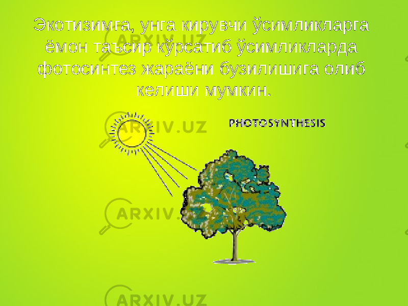 Экотизимга, унга кирувчи ўсимликларга ёмон таъсир кўрсатиб ўсимликларда фотосинтез жараёни бузилишига олиб келиши мумкин . 