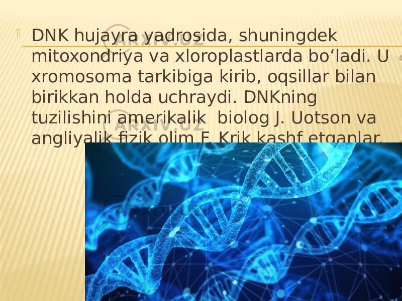  DNK hujayra yadrosida, shuningdek mitoxondriya va xloroplastlarda bo‘ladi. U xromosoma tarkibiga kirib, oqsillar bilan birikkan holda uchraydi. DNKning tuzilishini amerikalik biolog J. Uotson va angliyalik fizik olim F. Krik kashf etganlar. 