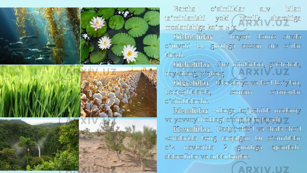 Barcha o’simliklar suv bilan ta’minlanishi yoki namlik sharoitiga moslanishiga ko’ra 5 ta Gidatofitlar – hayoti doimo suvda o’tuvchi bu guruhga asosan suv o’tlar kiradi. Gidrofitlar –Suv nilufarlari, g’ichchak, nayzabarg, o’qbarg Gigrofitlar –Ular daryo va ko’l bo’ylari, botqoqliklarda, sernam o’rmonlar o’simliklardir. Mezofitlar –ularga ko’pchilik madaniy va yovvoyi holdagi o’simliklar kiradi. Kserofitlar –Dasht, cho’l va chala cho’l zonalarida keng tarqalgan bu o’simliklar o’z navbatida 2 guruhga ajratiladi: sklerofitlar va sukkulentlar. 