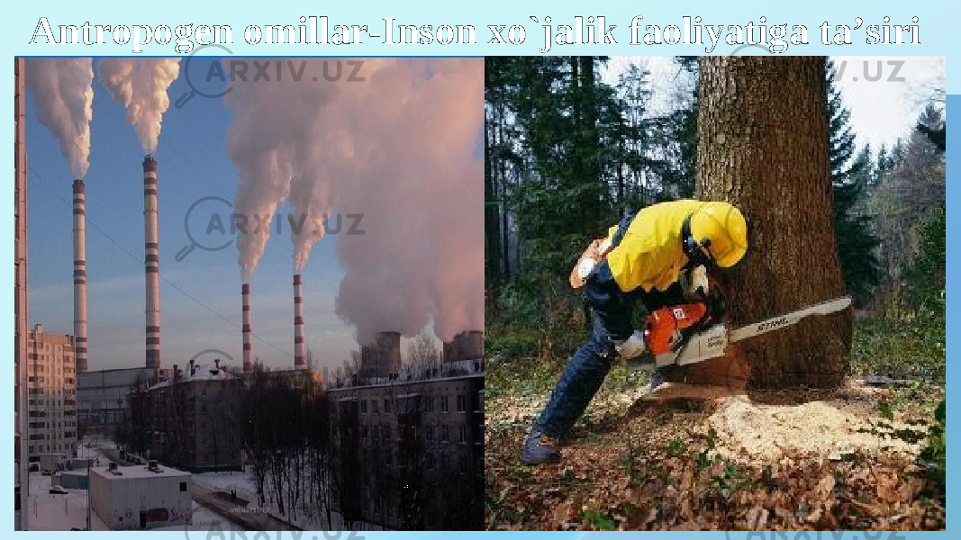 Antropogen omillar-Inson x o`jalik faoliyatiga ta’siri 