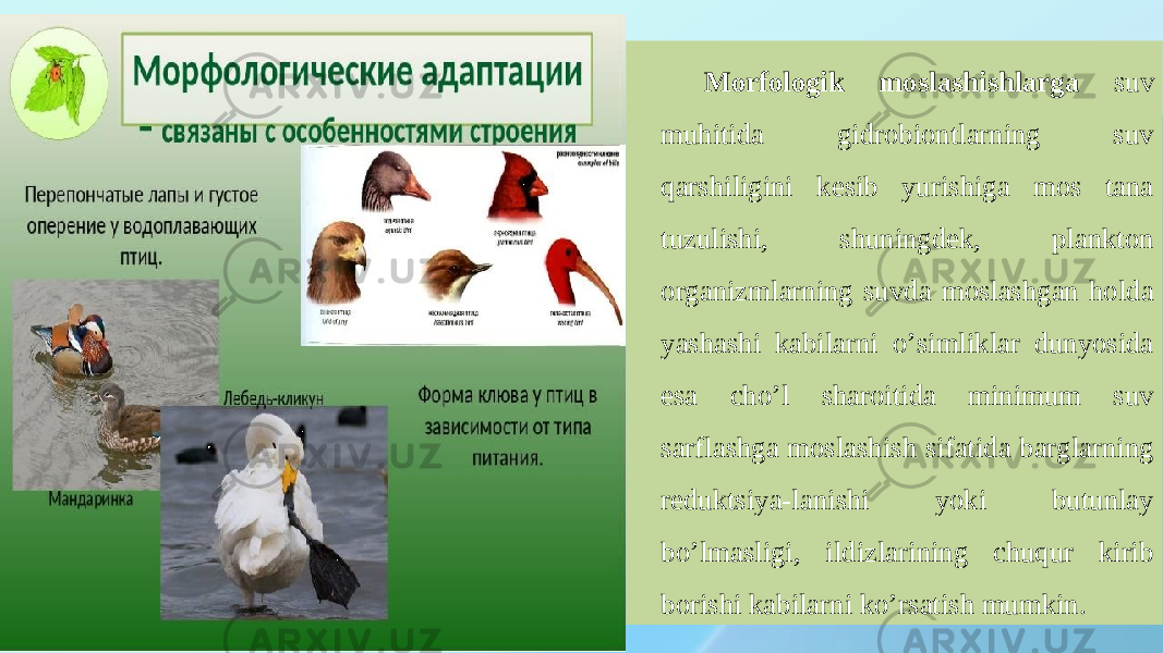 Morfologik moslashishlarga suv muhitida gidrobiontlarning suv qarshiligini kesib yurishiga mos tana tuzulishi, shuningdek, plankton organizmlarning suvda moslashgan holda yashashi kabilarni oʼsimliklar dunyosida esa choʼl sharoitida minimum suv sarflashga moslashish sifatida barglarning reduktsiya-lanishi yoki butunlay boʼlmasligi, ildizlarining chuqur kirib borishi kabilarni koʼrsatish mumkin. 