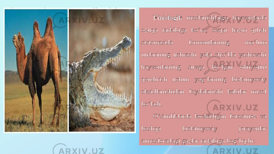 Fiziologik moslanishlarga hayvonlarda ozuqa tarkibiga koʼra, ovqat hazm qilish sistemasida fermentlarning maʼlum turlarining uchrashi yoki choʼlda yashovchi hayvonlarning suvga boʼlgan ehtiyojini qondirish uchun yogʼlarning biokimyoviy oksidlanishidan foydalanishi kabilar misol boʼladi. Oʼsimliklarda kechadigan fotosintez va boshqa biokimyoviy jarayonlar atmosferadagi gazlar tarkibiga bogʼliqdir. 