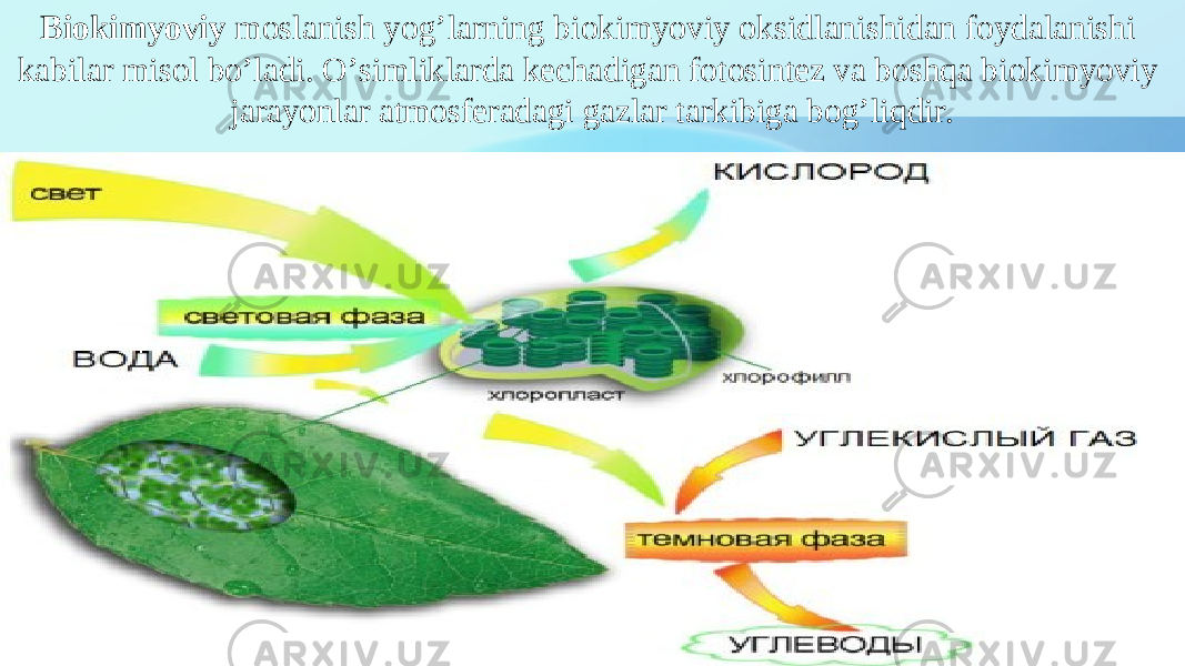 Biokimyoviy moslanish yogʼlarning biokimyoviy oksidlanishidan foydalanishi kabilar misol boʼladi. Oʼsimliklarda kechadigan fotosintez va boshqa biokimyoviy jarayonlar atmosferadagi gazlar tarkibiga bogʼliqdir. 