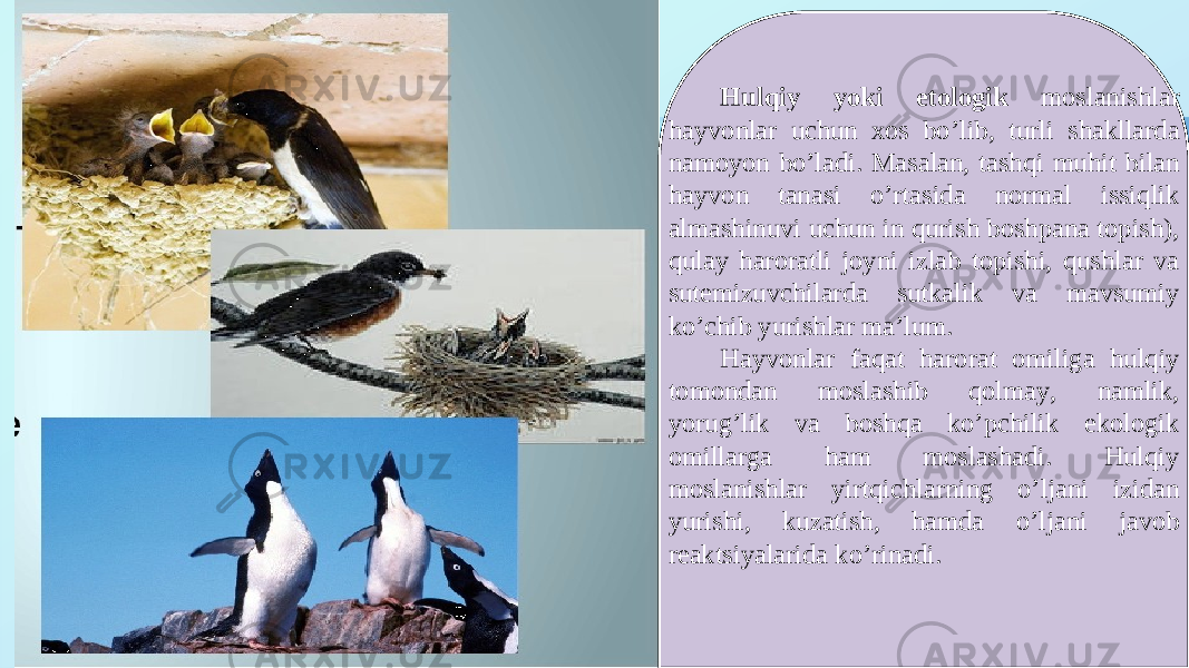 Hulqiy yoki etologik moslanishlar hayvonlar uchun xos boʼlib, turli shakllarda namoyon boʼladi. Masalan, tashqi muhit bilan hayvon tanasi oʼrtasida normal issiqlik almashinuvi uchun in qurish boshpana topish), qulay haroratli joyni izlab topishi, qushlar va sutemizuvchilarda sutkalik va mavsumiy koʼchib yurishlar maʼlum. Hayvonlar faqat harorat omiliga hulqiy tomondan moslashib qolmay, namlik, yorugʼlik va boshqa koʼpchilik ekologik omillarga ham moslashadi. Hulqiy moslanishlar yirtqichlarning oʼljani izidan yurishi, kuzatish, hamda oʼljani javob reaktsiyalarida koʼrinadi. 