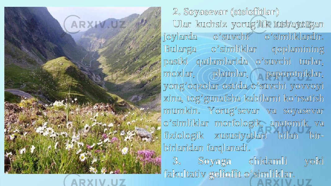 2. Soyasevar (stsiofitlar) Ular kuchsiz yorug’lik tushayotgan joylarda o’suvchi o’simliklardir. Bularga o’simliklar qoplamining pastki qatlamlarida o’suvchi turlar, moxlar, plaunlar, paporotniklar, yong’oqzolar ostida o’suvchi yovvoyi xina, tog’gunafsha kabilarni ko’rsatish mumkin. Y o rug’sevar va soyasevar o’simliklar morfologik, anatomik va fiziologik xususiyatlari bilan bir- birlaridan farqlanadi. 3. Soyaga chidamli yoki fakultativ geliofit o’simliklar. 