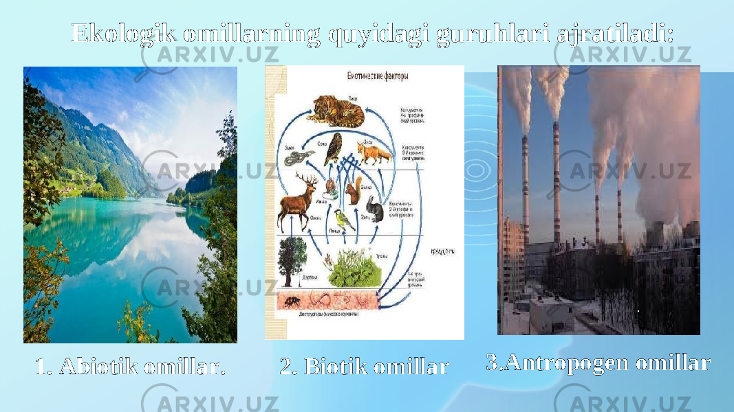 Ekologik omillarning quyidagi guruhlari ajratiladi: 1. А biotik omill а r. 2. Biotik omillar 3. Antropogen omillar 