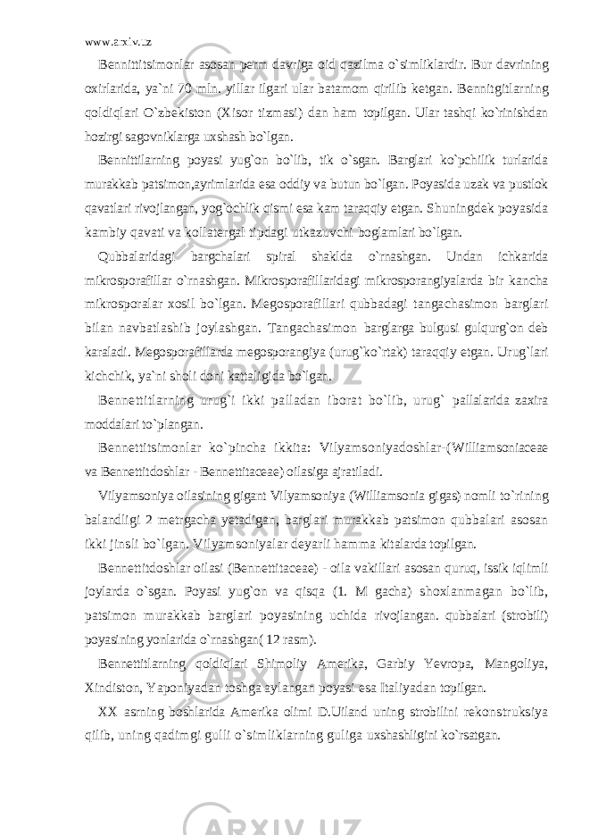 www.arxiv.uz Bennittitsimonlar asosan perm davriga oid qazilma o`simliklardir. Bur davrining oxirlarida, ya`ni 70 mln. yillar ilgari ular batamom qirilib ketgan. Bennitgitlarning qoldiqlari O`zbekiston (Xisor tizmasi) dan ham topilgan. Ular tashqi ko`rinishdan hozirgi sagovniklarga uxshash bo`lgan. Bennittilarning poyasi yug`on bo`lib, tik o`sgan. Barglari ko`pchilik turlarida murakkab patsimon,ayrimlarida esa oddiy va butun bo`lgan. Poyasida uzak va pustlok qavatlari rivojlangan, yog`ochlik qismi esa kam taraqqiy etgan. Shuningdek poyasida kambiy qavati va kollatergal tipdagi utkazuvchi boglamlari bo`lgan. Qubbalaridagi bargchalari spiral shaklda o`rnashgan. Undan ichkarida mikrosporafillar o`rnashgan. Mikrosporafillaridagi mikrosporangiyalarda bir kancha mikrosporalar xosil bo`lgan. Megosporafillari qubbadagi tangachasimon barglari bilan navbatlashib joylashgan. Tangachasimon barglarga bulgusi gulqurg`on deb karaladi. Megosporafillarda megosporangiya (urug`ko`rtak) taraqqiy etgan. Urug`lari kichchik, ya`ni sholi doni kattaligida bo`lgan. Bennettitlarning urug`i ikki palladan iborat bo`lib, urug` pallalarida zaxira moddalari to`plangan. Bennettitsimonlar ko`pincha ikkita: Vilyamsoniyadoshlar-( Williamsoniaceae va Bennettitdoshlar - Bennettitaceae) oilasiga ajratiladi. Vilyamsoniya oilasining gigant Vilyamsoniya (Williamsonia gigas) nomli to`rining balandligi 2 metrgacha yetadigan, barglari murakkab patsimon qubbalari asosan ikki jinsli bo`lgan. Vilyamsoniyalar deyarli hamma kitalarda topilgan. Bennettitdoshlar oilasi (Bennettitaceae) - oila vakillari asosan quruq, issik iqlimli joylarda o`sgan. Poyasi yug`on va qisqa (1. M gacha) shoxlanmagan bo`lib, patsimon murakkab barglari poyasining uchida rivojlangan. qubbalari (strobili) poyasining yonlarida o`rnashgan( 12 rasm). Bennettitlarning qoldiqlari Shimoliy Amerika, Garbiy Yevropa, Mangoliya, Xindiston, Yaponiyadan toshga aylangan poyasi esa Italiyadan topilgan. XX asrning boshlarida Amerika olimi D.Uiland uning strobilini rekonstruksiya qilib, uning qadimgi gulli o`simliklarning guliga uxshashligini ko`rsatgan. 