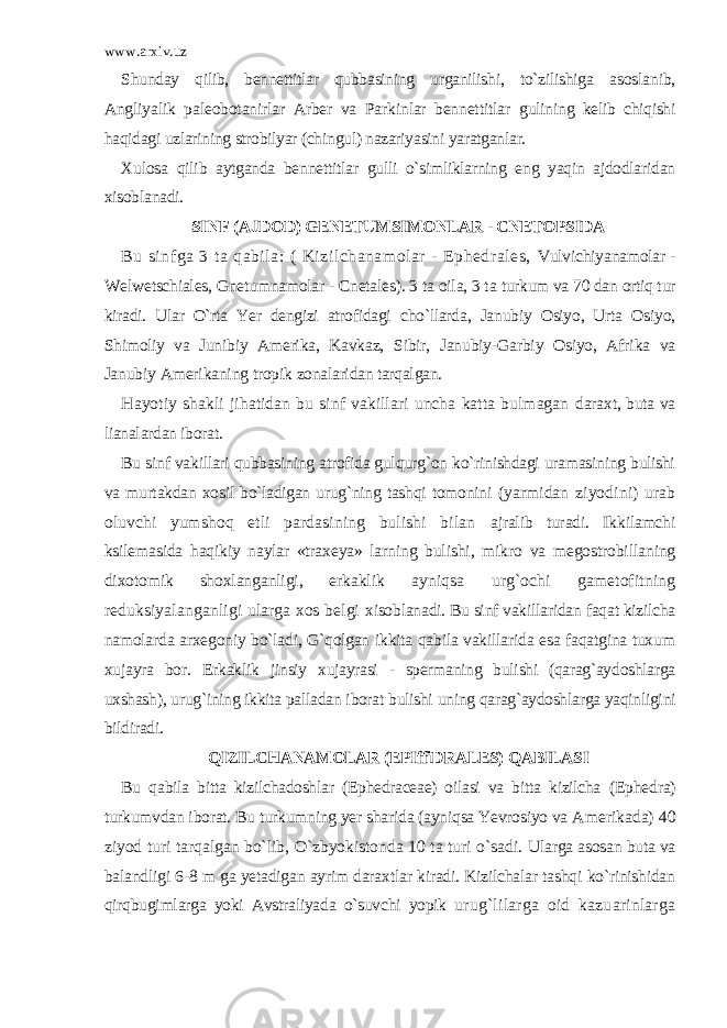 www.arxiv.uz Shunday qilib, bennettitlar qubbasining urganilishi, to`zilishiga asoslanib, Angliyalik paleobotanirlar Arber va Parkinlar bennettitlar gulining kelib chiqishi haqidagi uzlarining strobilyar (chingul) nazariyasini yaratganlar. Xulosa qilib aytganda bennettitlar gulli o`simliklarning eng yaqin ajdodlaridan xisoblanadi. SINF (AJDOD) GENETUMSIMONLAR - CNETOPSIDA Bu sinfga 3 ta qabila: ( Kizilchanamolar - Ephedrales, Vulvichiyanamolar - Welwetschiales, Gnetumnamolar - Cnetales). 3 ta oila, 3 ta turkum va 70 dan ortiq tur kiradi. Ular O`rta Yer dengizi atrofidagi cho`llarda, Janubiy Osiyo, Urta Osiyo, Shimoliy va Junibiy Amerika, Kavkaz, Sibir, Janubiy-Garbiy Osiyo, Afrika va Janubiy Amerikaning tropik zonalaridan tarqalgan. Hayotiy shakli jihatidan bu sinf vakillari uncha katta bulmagan daraxt, buta va lianalardan iborat. Bu sinf vakillari qubbasining atrofida gulqurg`on ko`rinishdagi uramasining bulishi va murtakdan xosil bo`ladigan urug`ning tashqi tomonini (yarmidan ziyodini) urab oluvchi yumshoq etli pardasining bulishi bilan ajralib turadi. Ikkilamchi ksilemasida haqikiy naylar «traxeya» larning bulishi, mikro va megostrobillaning dixotomik shoxlanganligi, erkaklik ayniqsa urg`ochi gametofitning reduksiyalanganligi ularga xos belgi xisoblanadi. Bu sinf vakillaridan faqat kizilcha namolarda arxegoniy bo`ladi, G`qolgan ikkita qabila vakillarida esa faqatgina tuxum xujayra bor. Erkaklik jinsiy xujayrasi - spermaning bulishi (qarag`aydoshlarga uxshash), urug`ining ikkita palladan iborat bulishi uning qarag`aydoshlarga yaqinligini bildiradi. QIZILCHANAMOLAR (EPIffiDRALES) QABILASI Bu qabila bitta kizilchadoshlar (Ephedraceae) oilasi va bitta kizilcha (Ephedra) turkumvdan iborat. Bu turkumning yer sharida (ayniqsa Yevrosiyo va Amerikada) 40 ziyod turi tarqalgan bo`lib, O`zbyokistonda 10 ta turi o`sadi. Ularga asosan buta va balandligi 6-8 m ga yetadigan ayrim daraxtlar kiradi. Kizilchalar tashqi ko`rinishidan qirqbugimlarga yoki Avstraliyada o`suvchi yopik urug`lilarga oid kazuarinlarga 