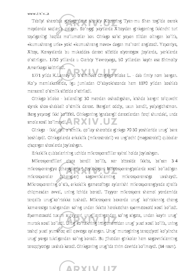 www.arxiv.uz Tabiiyi sharoitda ginkgo faqat sharkiy Xitoyning Tyan-mu Shan tog`ida ozrok maydonda saqlanib qolgan. So`nggi paytlarda Xitoydan ginkgoning ikkinchi turi topilganligi haqida ma`lumotlar bor. Ginkgo so`zi yapon tilidan olingan bo`lib, «kumushrang urik» yoki «kumushrang meva» degan ma`noni anglatadi. Yaponiya, Xitoy, Koreyalarda bu mukaddas daraxt sifatida ziyoratgox joylarda, parklarda o`stirilgan. 1730 yillarda u Garbiy Yevropaga, 50 yillardan keyin esa Shimoliy Amerikaga keltiriladi. 1771 yilda K.Lenney bu o`simlikka Cingkgo biloba L. - deb ilmiy nom bergan. Ko`p mamlakatlarda, igu jumladan O`zbyokistonda ham 1920 yildan boshlab manzarali o`simlik sifatida o`stiriladi. Ginkgo biloba - balandligi 30 metrdan oshadigshan, kishda bargni to`quvchi siyrak shox-shabbali o`simlik daraxt. Barglari oddiy, uzun bandli, yelpigichsimon. Barg yaprogi ikki bo`lakli. Ginkgoning ignabargli daraxtlardan farqi shundaki, unda smola xosil bo`lmaydi. Ginkgo - ikki uyli o`simlik. qo`lay sharoitda ginkgo 20-30 yoshlarida urug` bera boshlaydi. Ginkgolarda erkaklik (mikrostrobil) va urg`ochi (megostrobil) qubbalar qisqargan shoxlarda joylashgan. Erkaklik qubbalarining uchida mikrosporafillar spiral holda joylashgan. Mikrosporafillari qisqa bandli bo`lib, xar bittasida ikkita, ba`zan 3-4 mikrosporangiya (changdonlar) joylashgan. Mikrosporangiyalarda xosil bo`ladigan mikrosporalar (changlar) sagovniklarning mikrosporansiga uxshaydi. Mikrosporaning o`sib, erkaklik gametofitga aylanishi mikrosporangiyada ajralib chiqmasdan avval, uning ichida boradi. Tayyor mikrospora shamol yordamida tarqalib urug`ko`rtakka tushadi. Mikrospora baxorda urug` ko`rtaknnig chang kamerasiga tushgandan so`ng undan ikkita harakatchan spermatozoid xosil bo`ladi. Spermatozoid tuxum xujayrani urug`lantirgandan so`ng zigota, undan keyin urug` murtak xosil bo`ladi. Urug`ko`rtakning intigumentidan urug` pusti xosil bo`lib, uning tashqi pusti yumshoq etli qavatga aylangan. Urug` murtagining taraqqiyoti ko`pincha urug` yerga tukilgandan so`ng boradi. Bu jihatdan ginkolar ham sagovniklarning taraqqiyotiga uxshab ketadi. Ginkgoning urug`ida tinim davrida bo`lmaydi. (14- rasm). 