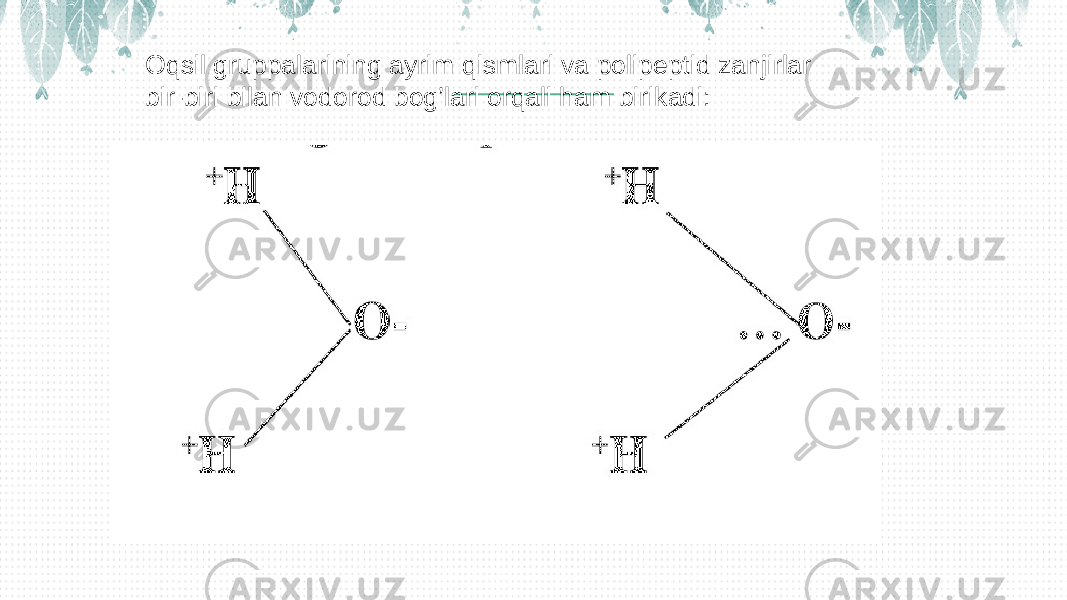 Oqsil gruppalarining ayrim qismlari va polipeptid zanjirlar bir-biri bilan vodorod bog’lari orqali ham birikadi: 