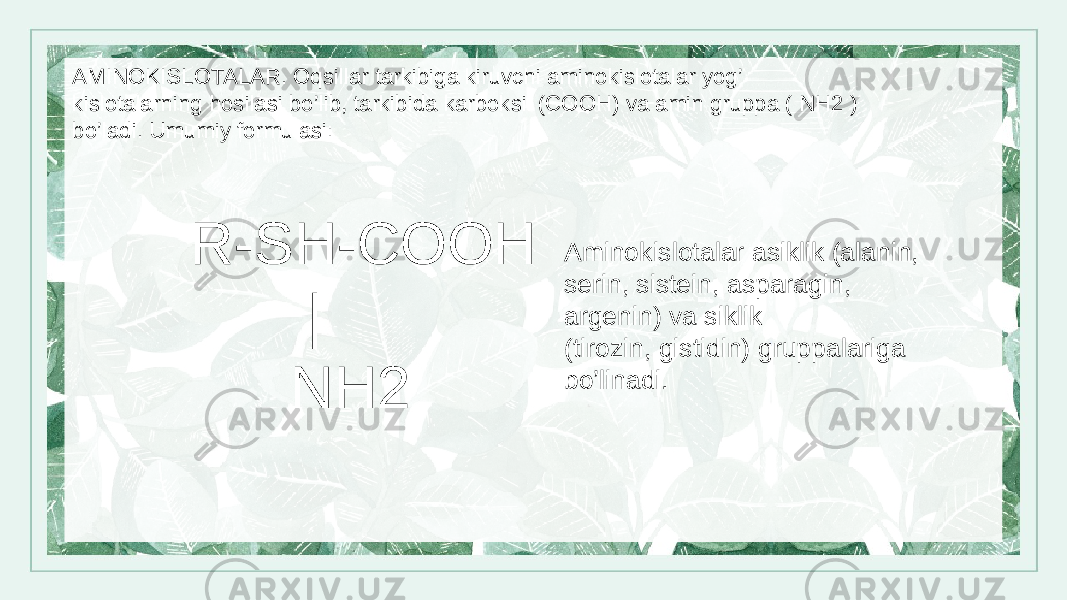 AMINOKISLOTALAR. Oqsillar tarkibiga kiruvchi aminokislotalar yog’ kislotalarning hosilasi bo’lib, tarkibida karboksil (COOH) va amin gruppa ( NH2 ) bo’ladi. Umumiy formulasi: R-SH-COOH | NH2 Aminokislotalar asiklik (alanin, serin, sistein, asparagin, argenin) va siklik (tirozin, gistidin) gruppalariga bo’linadi. 