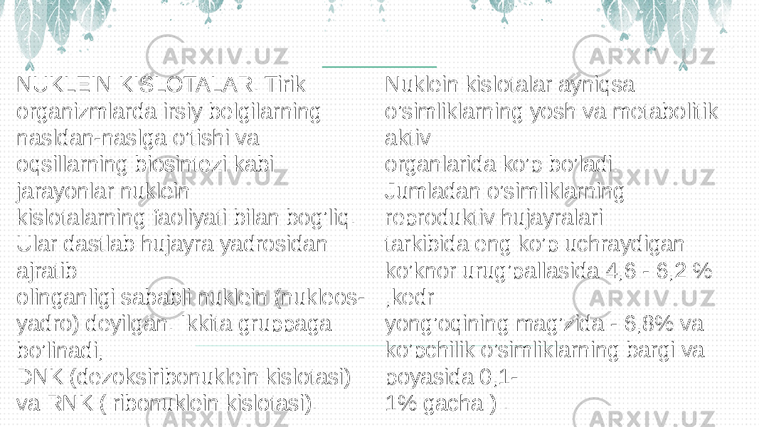 NUKLEIN KISLOTALAR. Tirik organizmlarda irsiy belgilarning nasldan-naslga o’tishi va oqsillarning biosintezi kabi jarayonlar nuklein kislotalarning faoliyati bilan bog’liq. Ular dastlab hujayra yadrosidan ajratib olinganligi sababli nuklein (nukleos- yadro) deyilgan. Ikkita gruppaga bo’linadi, DNK (dezoksiribonuklein kislotasi) va RNK ( ribonuklein kislotasi). Nuklein kislotalar ayniqsa o’simliklarning yosh va metabolitik aktiv organlarida ko’p bo’ladi. Jumladan o’simliklarning reproduktiv hujayralari tarkibida eng ko’p uchraydigan ko’knor urug’pallasida 4,6 - 6,2 % ,kedr yong’oqining mag’zida - 6,8% va ko’pchilik o’simliklarning bargi va poyasida 0,1- 1% gacha ) . 