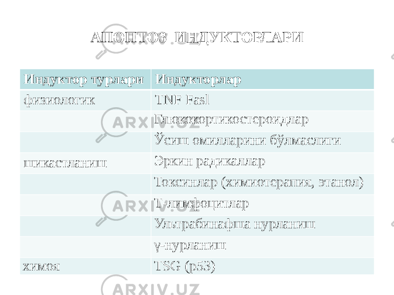 АПОПТОЗ ИНДУКТОРЛАРИ Индуктор турлари Индукторлар физиологик TNF Fasl Глюкокортикостероидлар Ўсиш омилларини бўлмаслиги шикастланиш Эркин радикаллар Токсинлар (химиотерапия, этанол) Т-лимфоцитлар Ультрабинафша нурланиш γ-нурланиш химоя TSG (p53) 