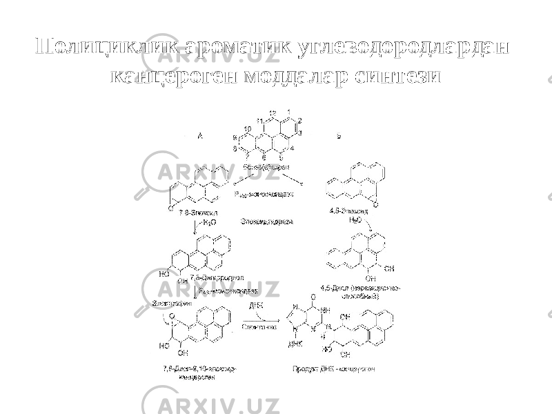 Полициклик ароматик углеводородлардан канцероген моддалар синтези 