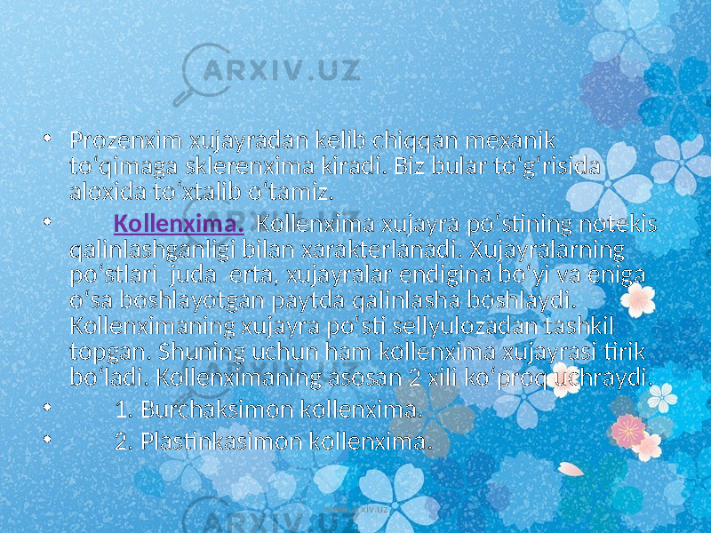 • Prozenxim xujayradan kelib chiqqan mexanik to‘qimaga sklerenxima kiradi. Biz bular to‘g‘risida aloxida to‘xtalib o‘tamiz. • Kollenxima. Kollenxima xujayra po‘stining notekis qalinlashganligi bilan xarakterlanadi. Xujayralarning po‘stlari juda erta, xujayralar endigina bo‘yi va eniga o‘sa boshlayotgan paytda qalinlasha boshlaydi. Kollenximaning xujayra po‘sti sellyulozadan tashkil topgan. Shuning uchun ham kollenxima xujayrasi tirik bo‘ladi. Kollenximaning asosan 2 xili ko‘proq uchraydi. • 1. Burchaksimon kollenxima. • 2. Plastinkasimon kollenxima. www.arxiv.uz 