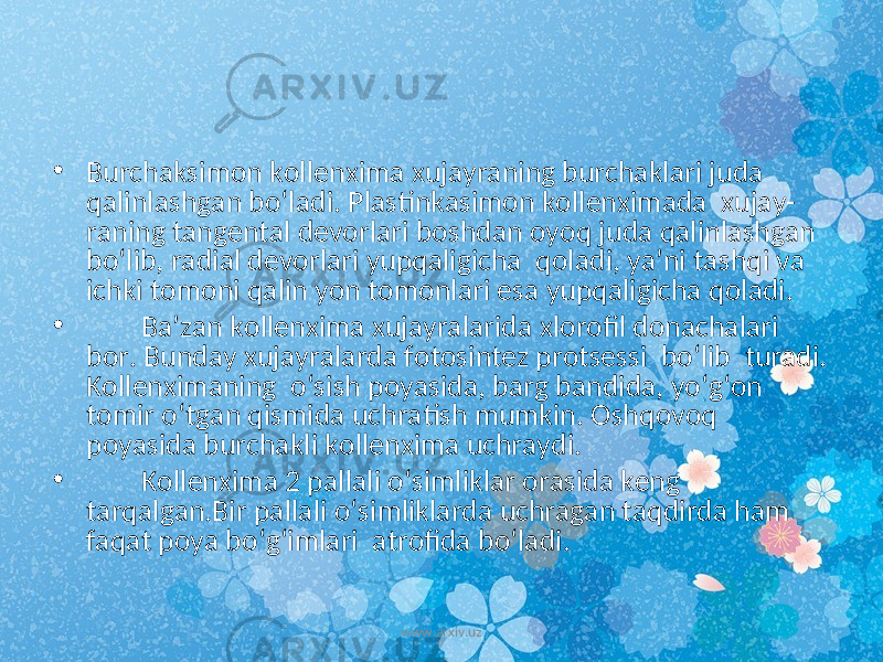 • Burchaksimon kollenxima xujayraning burchaklari juda qalinlashgan bo‘ladi. Plastinkasimon kollenximada xujay- raning tangental devorlari boshdan oyoq juda qalinlashgan bo‘lib, radial devorlari yupqaligicha qoladi, ya’ni tashqi va ichki tomoni qalin yon tomonlari esa yupqaligicha qoladi. • Ba’zan kollenxima xujayralarida xlorofil donachalari bor. Bunday xujayralarda fotosintez protsessi bo‘lib turadi. Kollenximaning o‘sish poyasida, barg bandida, yo‘g‘on tomir o‘tgan qismida uchratish mumkin. Oshqovoq poyasida burchakli kollenxima uchraydi. • Kollenxima 2 pallali o‘simliklar orasida keng tarqalgan.Bir pallali o‘simliklarda uchragan taqdirda ham faqat poya bo‘g‘imlari atrofida bo‘ladi. www.arxiv.uz 