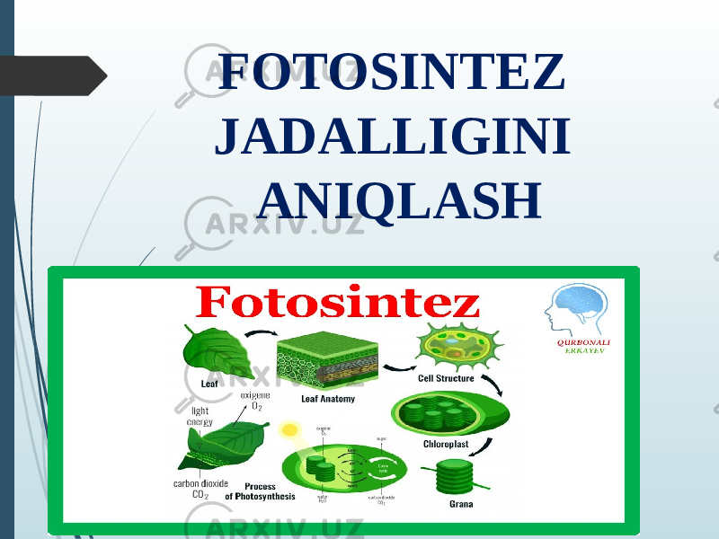 FOTOSINTEZ JADALLIGINI ANIQLASH 