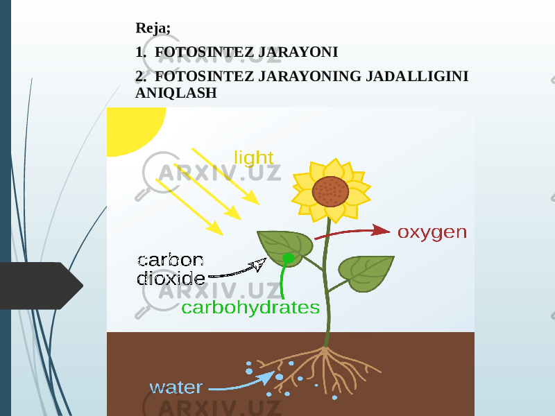 Reja; 1. FOTOSINTEZ JARAYONI 2. FOTOSINTEZ JARAYONING JADALLIGINI ANIQLASH 